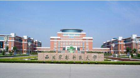 北京四大垃圾大学,典型的野鸡大学!